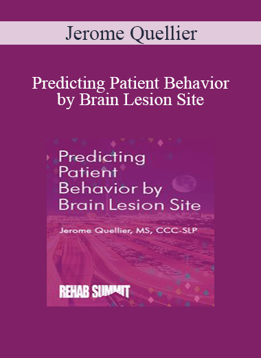 Jerome Quellier - Predicting Patient Behavior by Brain Lesion Site