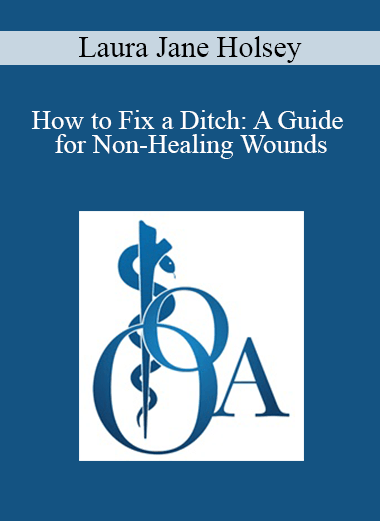 Laura Jane Holsey - How to Fix a Ditch: A Guide for Non-Healing Wounds