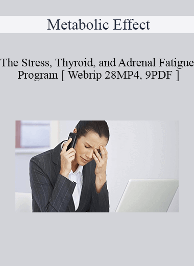 Metabolic Effect - The Stress