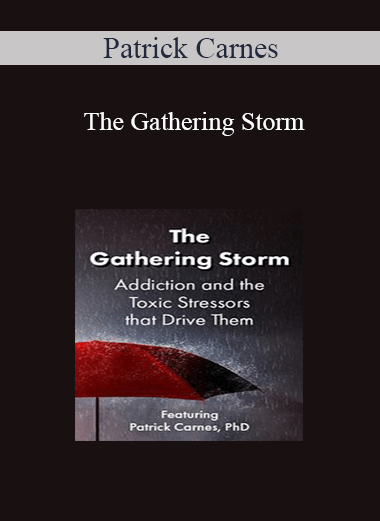Patrick Carnes - The Gathering Storm: Addiction and the Toxic Stressors that Drive Them