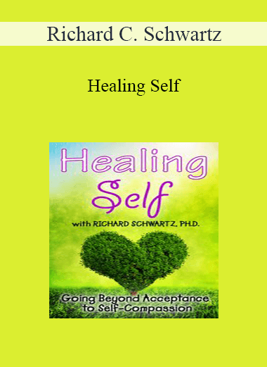 Richard C. Schwartz - Healing Self: Going Beyond Acceptance to Self-Compassion
