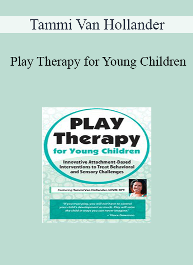 Tammi Van Hollander - Play Therapy for Young Children: Innovative Attachment-Based Interventions to Treat Behavioral and Sensory Challenges