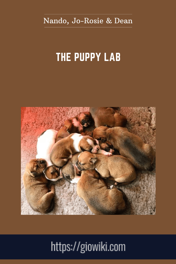 The Puppy Lab  -  Nando