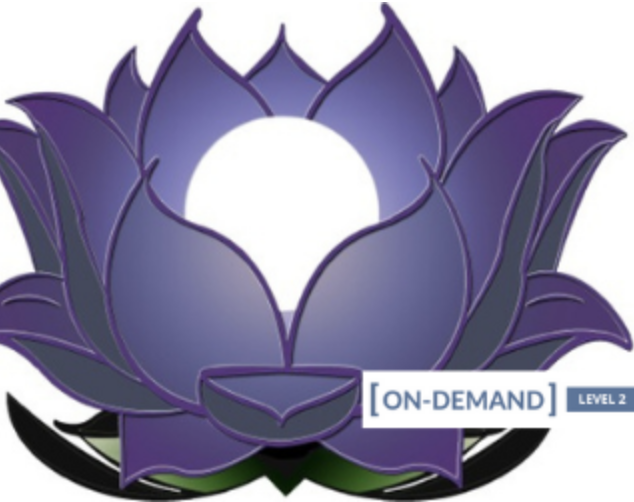 59 - On-Demand Meditation Level 2 Course - Gregor Maehle Available