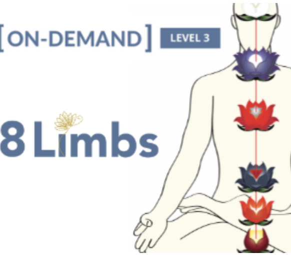 59 - On-Demand Meditation Level 3 Course - Gregor Maehle Available