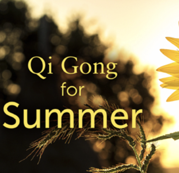 29 - Qi Gong for Summer Workshop - Lee Holden Available