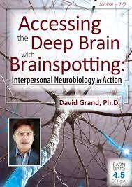David Grand - Accessing the Deep Brain with Brainspotting