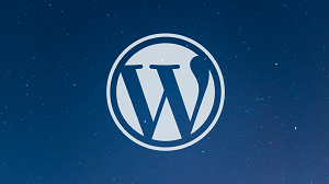 Chris Dixon - WordPress Academy Learn WordPress step by step