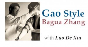 Luo De Xiu - Gao Ba Gua Clever Hands - Subtle Skills