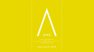 Paul David Tripp - Awe Why It Matters for Everything We Think - Say and Do