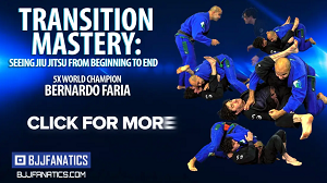Bernardo Faria - Transition Mastery