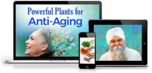 K.P. Khalsa - Powerful Plants for Anti-Aging
