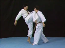 Born to be Strongest - Kyokushin Karate Instructional 4 DVD Set