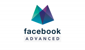 Dario Vignali - Facebook Advanced (Facebook Advanced di Marketers (Dario Vignali)