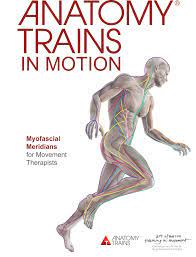 Art Of Motion - Anatomy Trains in Motion (ATiM)