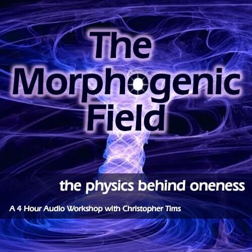 Christopher Tims - The Morphogenic field
