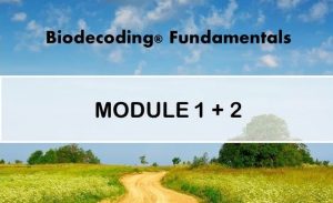 Christian Flèche - Biodecoding - Module 1 + 2 Course
