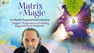 David Crow - Matric of Magic - 6 - Month Experiential Intensive