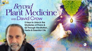 David Crow - Matrix of Magic Beyond Plant Medicine