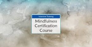 Debra Alvis - 2-Day Intensive Training - Mindfulness Certification Course