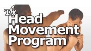 Fight Smart - The Head Movement Training Program