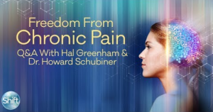 Hal Greenham & Dr. Howard Schubiner - Freedom from Chronic Pain