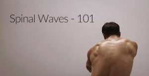 Jon Yuen - Spinal Waves 101 & Bottoms Up
