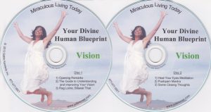 Julie Renee - Your Divine Human Blueprint: Vision