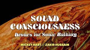 Mickey Hart and Zakir Hussain - Sound Consciousness