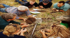 Nicole Masters - Soil Health Courses Bundle