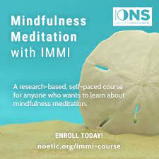 Noetic - Mindfulness Meditation Training IMMI