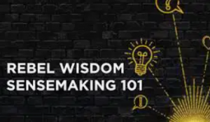Rebel Wisdom - Sensemaking 101