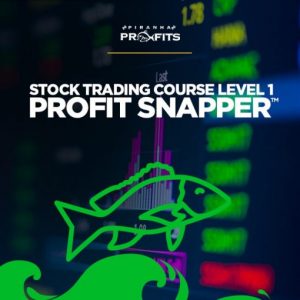 Stock Trading Course Level 1 Profit Snapper 2021 - Adam Khoo