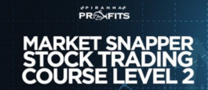 Stock Trading Course Level 2 Market Snapper 2021 - Adam Khoo