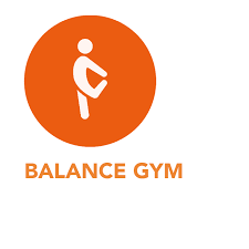 The Balance Gym - Z-Health