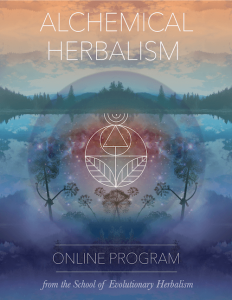 The School of Evolutionary Herbalism - Alchemical Herbalism