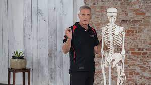 Tom Myers - Science of Stretch: Anatomy Training for Stability and Resilience