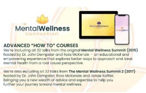 V.A. Mental Wellness Connection