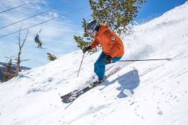 Wendy Fisher - Go Deep: How to Ski Powder