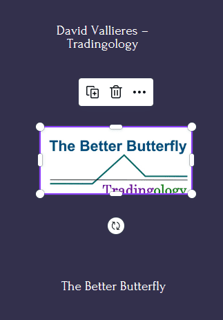 59 - The Better Butterfly Course - David Vallieres – Tradingology Available
