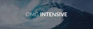 Amir Zoghi - The OMG Intensive