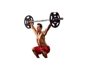 Bodybuilding – Poweriifting-Squat RX