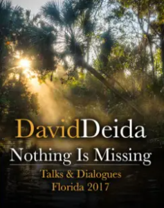 David Deida - Nothing is Missing (Florida 2017 talk)