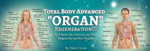 Dawn Crystal - Total Body Advanced Organ Regeneration