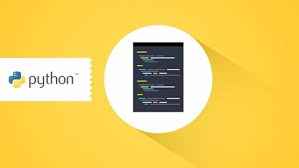 Stone River eLearning - Master The Fundamentals Of Python In 90 Minutes(Max)