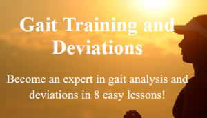Will Crane PT, DPT, OCS - Gait Training and Deviations