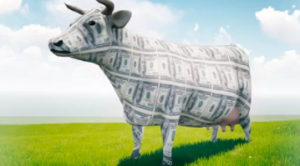 William Bronchick - Create a Cash Cow Using Wraps 2021